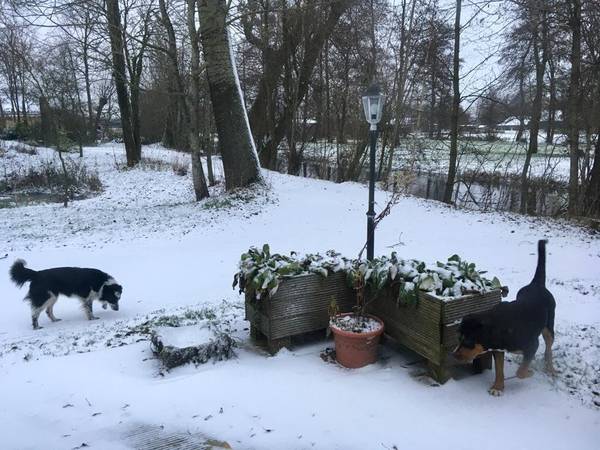 sneeuw-bij-frans-16-12-2018