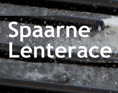spaarnelenterace