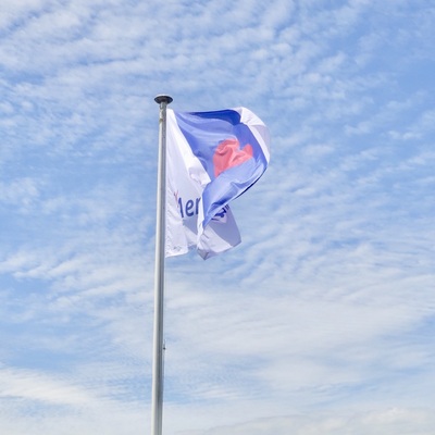 vlag